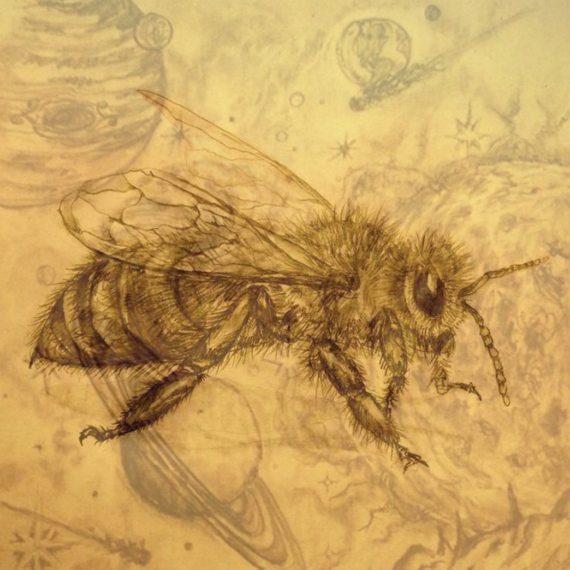 Castiel, Honeybee