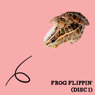 Frog Flippin' - Disc 1