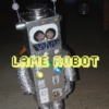 lame robot