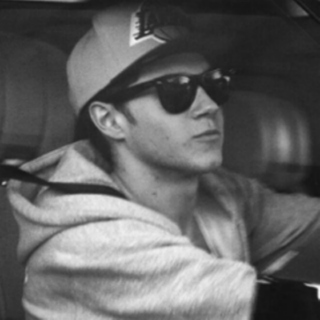 road trip with niall