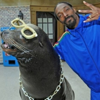 snoop doggs approval list