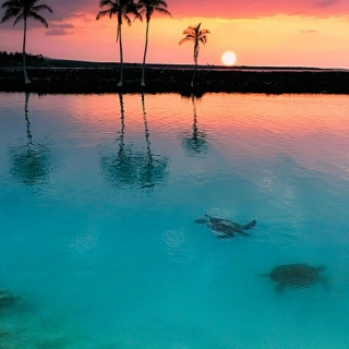 island sunset