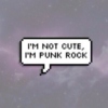 i'm punk rock i promise