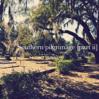 Southern pilgrimage [part ii]