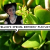 Yellow's Special Birthday Mix