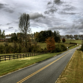 A Drive Down Cobble Hills Road