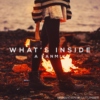 what's inside