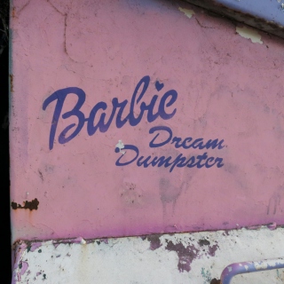 Dream Dumpster