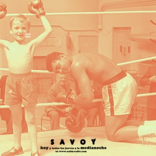 Savoy knockout