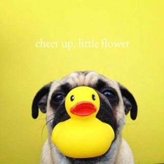cheer up, little flower.