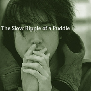 The Slow Ripple of a Puddle