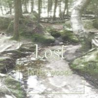 Lost to the Woods 