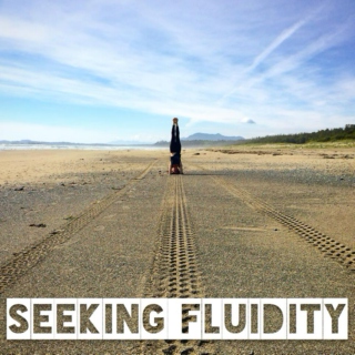 Seeking Fluidity