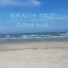 BEACH TRIP 2014 MIX