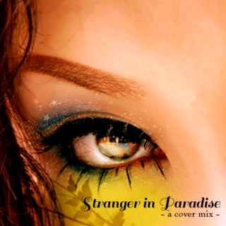 Stranger In Paradise (Cover Mix)
