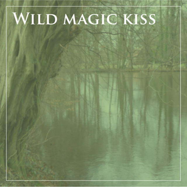 Wild magic kiss (Daine/Numair fanmix)