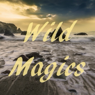 Wild Magics