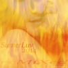 Sumer Luv 2014 reMiXed (summer music)
