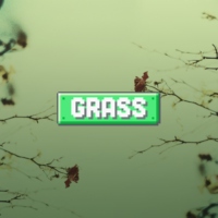 GRASS