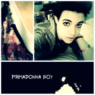 Primadonna boy