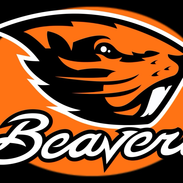 Beaver Tailgate