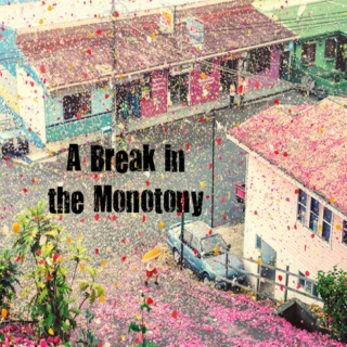 A Break in the Monotony