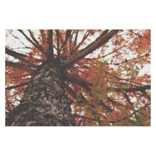 Songs that Remind Me of Autumn