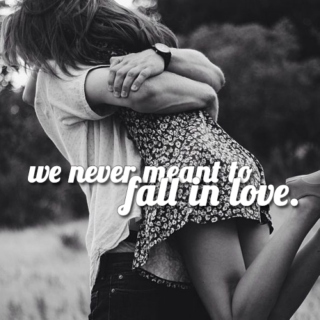 never meant to fall in love.