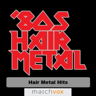 Platinum Hair Metal Hits