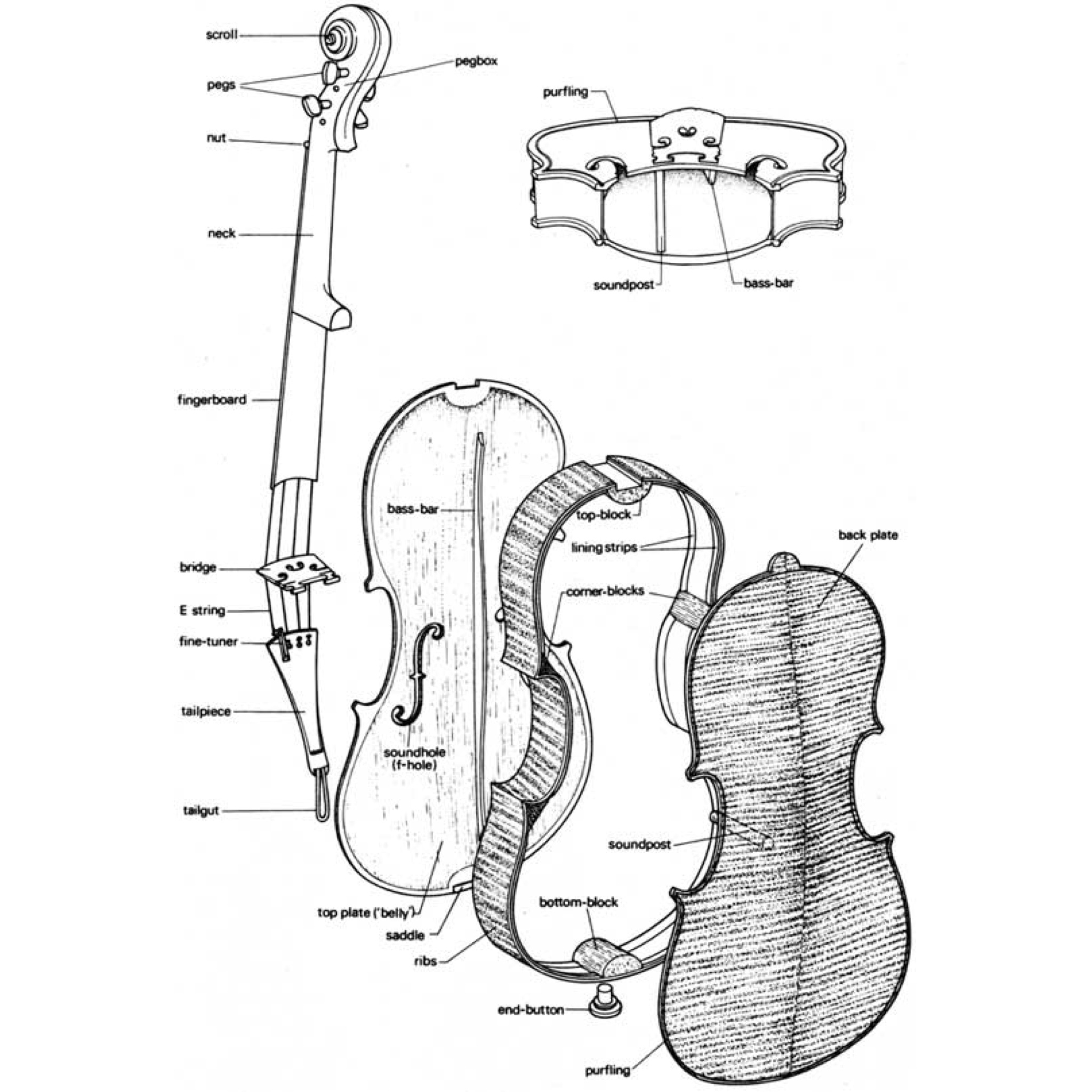 План скрипки