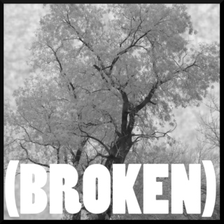 (Broken)