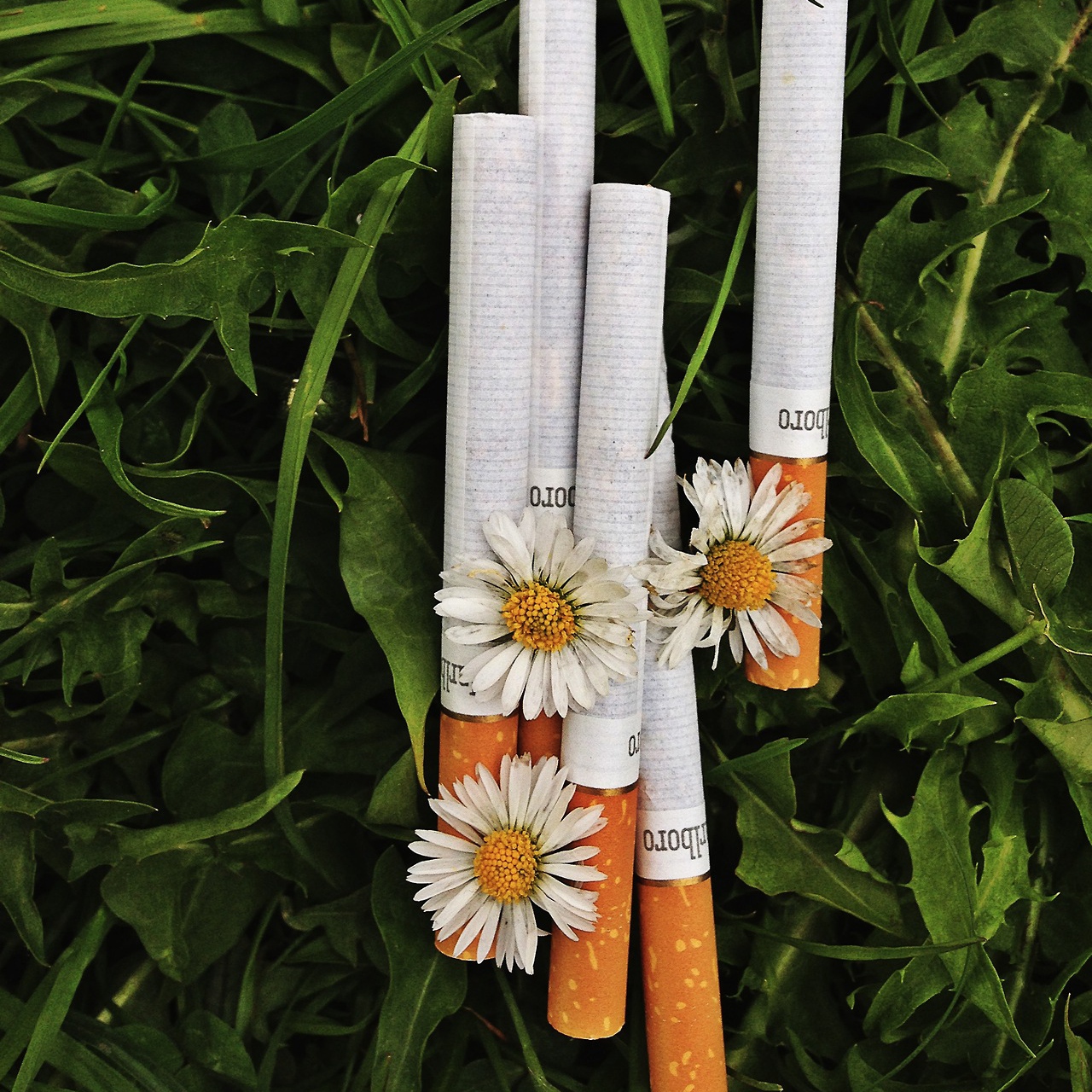 Сигареты и цветы