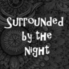 Surrounded by the Night 