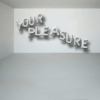 Your Pleasure | A Mixtape by Anne Rogers, Annie Miller & Bryan Martello