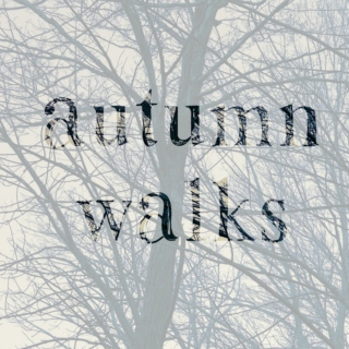 autumn walks