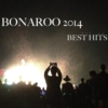 Bonaroo 2014 Best Hits