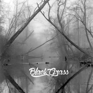 BlackGrass