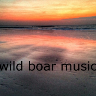Wild Boar Music