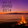 Best and Last Summer Mix of 2014