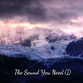 The Sound You Need (I)