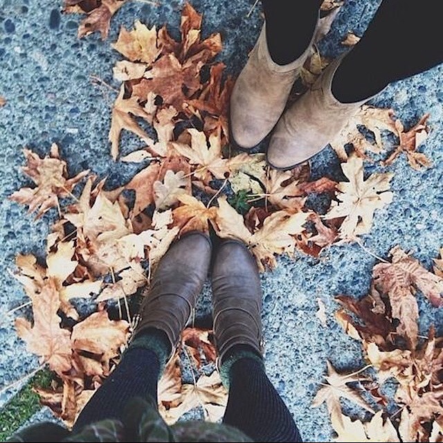 8tracks radio | indie fall adventures (15 songs) | free and music playlist