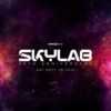 SkylabXX 2014