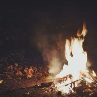 Campfire Vibes 