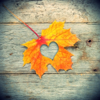 Love in the Fall
