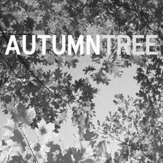 autumn tree.