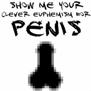 Show Me Your Clever Euphemism for PENIS