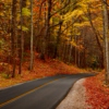 Autumn Road Trip 