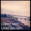 i didn't say i loved you (yet)