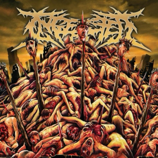 Death / Brutal Death Metal (9)
