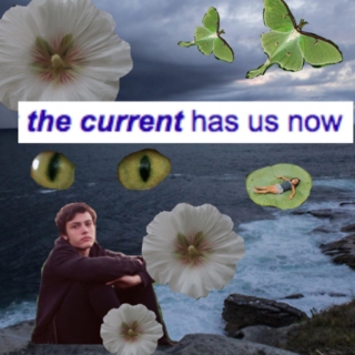 the current has us now